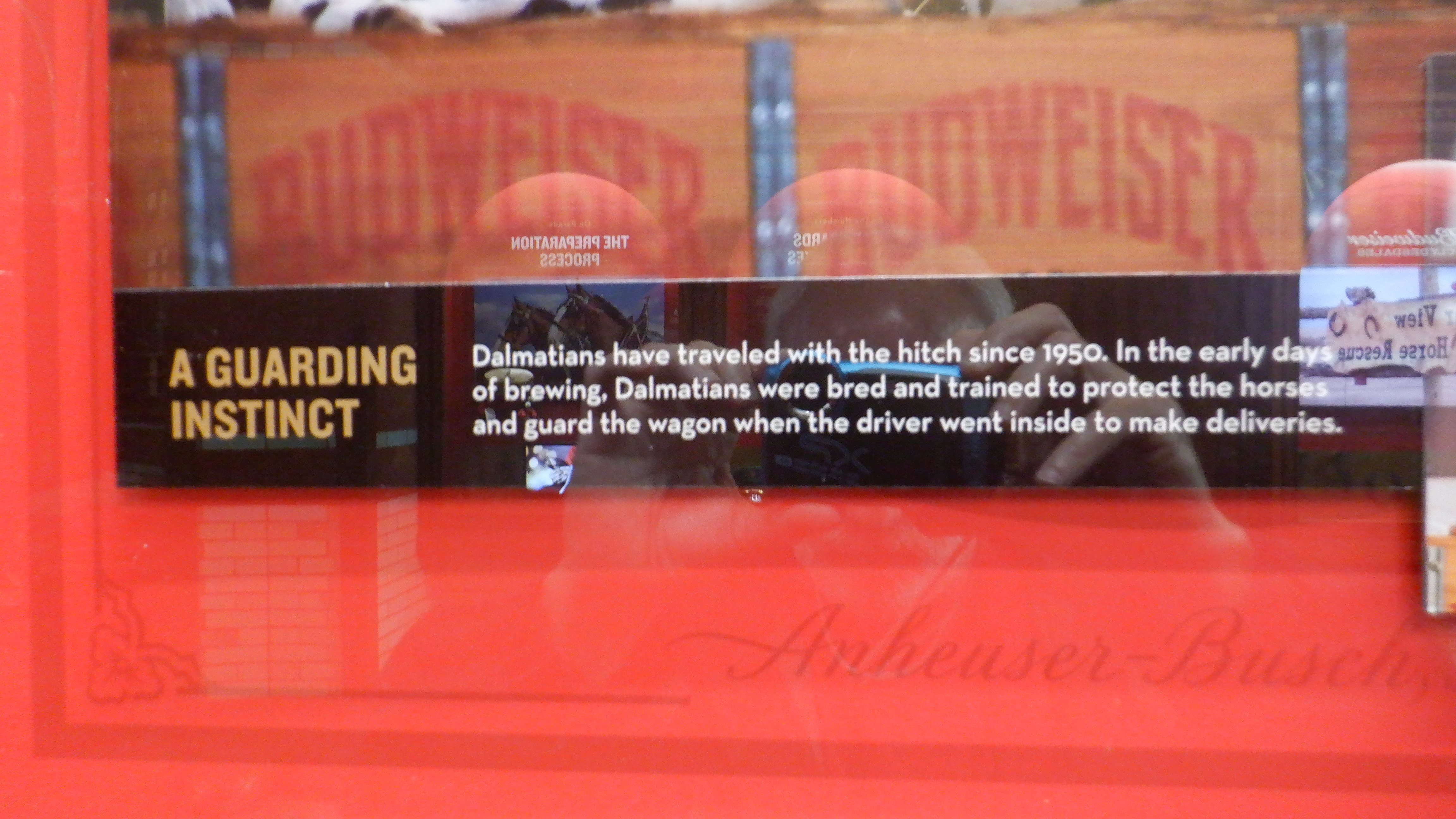 ./2022/06 - St Louis/05 - Day 5/20220525-15375574.JPG